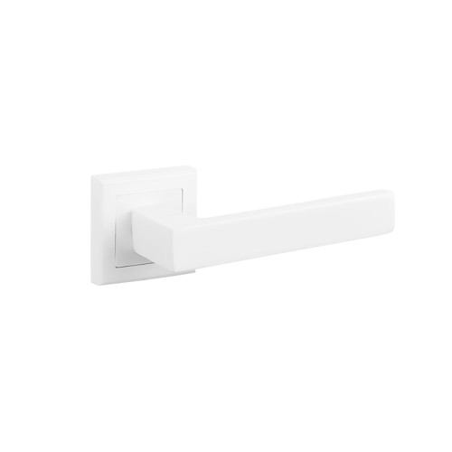 36488.jpg