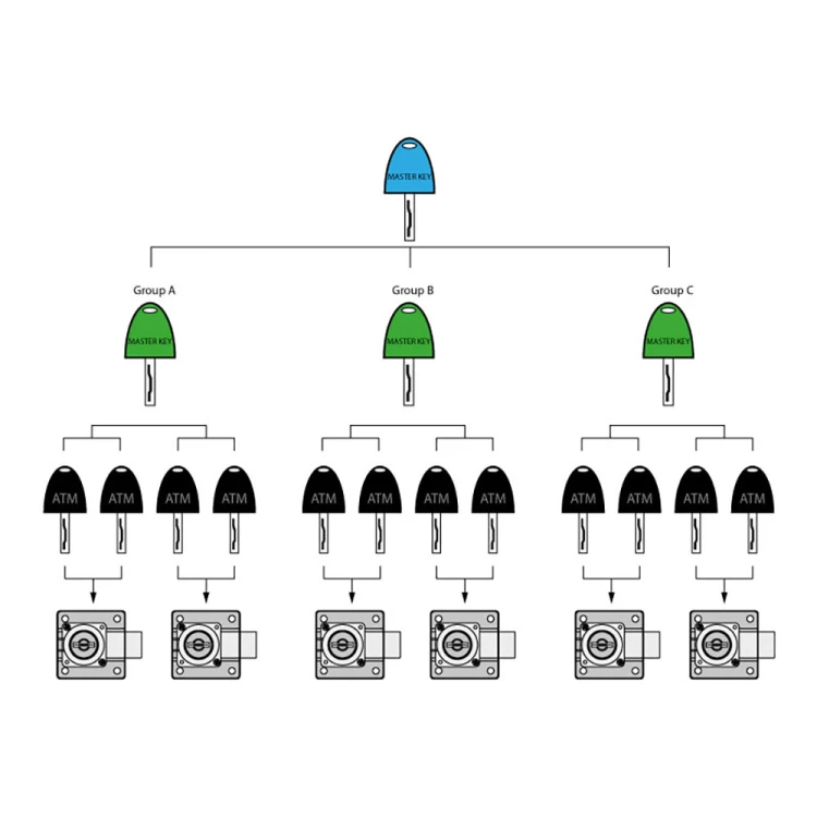 25515 - 1.jpg